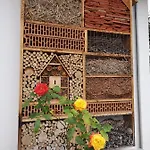 Apartment Oazis Ueduelo *