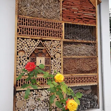 Appartement Oazis Ueduelo *