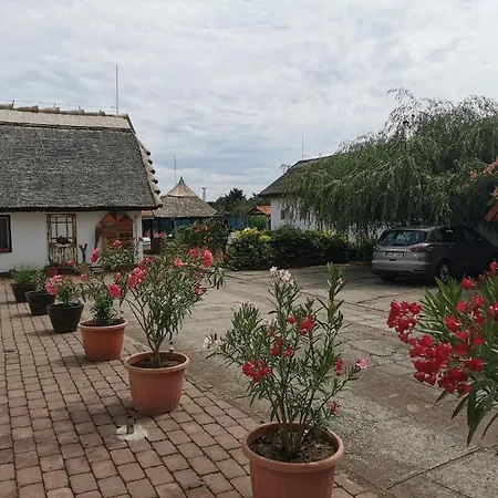 Oazis Ueduelo Appartement *